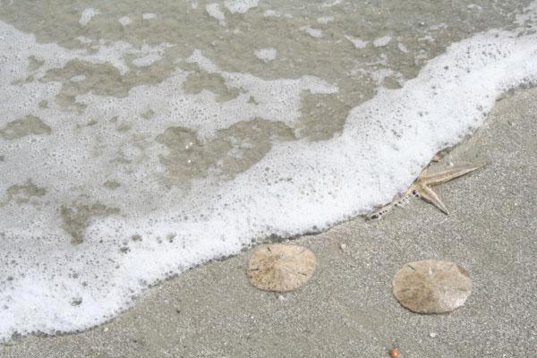 Kingston Cove 1 Villa Hilton Head Island Bagian luar foto